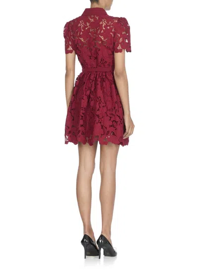 Self-portrait Womens Embroidered Collared Lace Mini Dress Burgundy