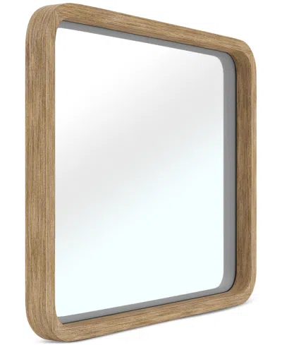 Macy's Frandlyn Mirror In Brown