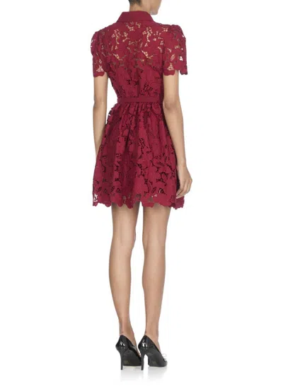 Self-portrait Womens Embroidered Collared Lace Mini Dress Burgundy