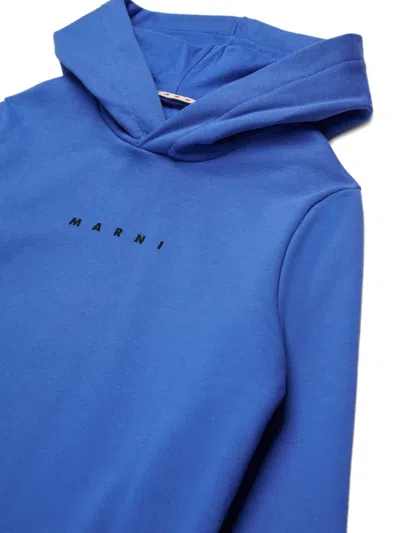 Marni Cotton Hoodie In Blue
