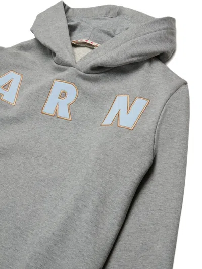 Marni Cotton Hoodie In Gray
