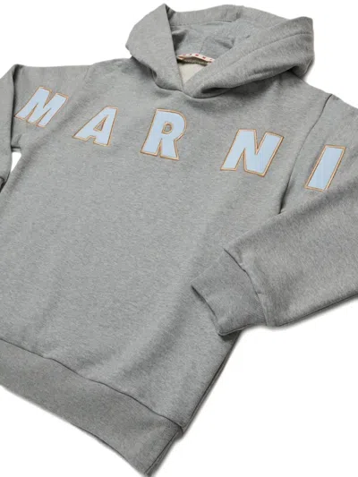 Marni Cotton Hoodie In Gray
