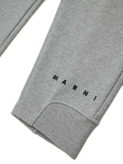 Marni Logo-print Trousers In Gray