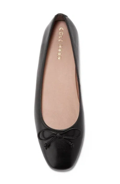 Cole Haan Chlea Pointed Toe Ballet Flat