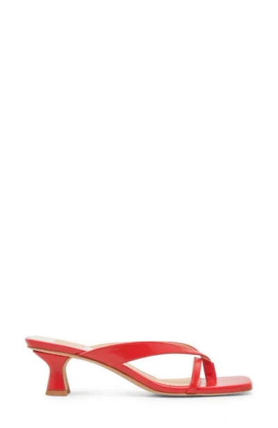 Dolce Vita Brevel Kitten Heel Flip Flop