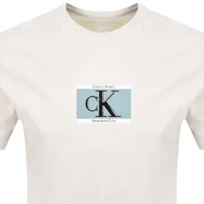 Calvin Klein Box Logo T Shirt Chalk In Neutral