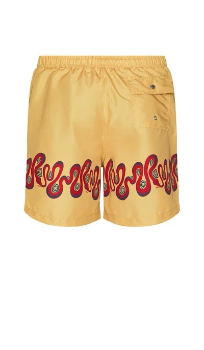 Bather Ochre Dizzy Boa Swim Trunks In Yellow