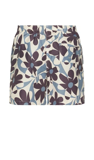 Bather Pastel Daisy Trip Swim Trunks In Neutral