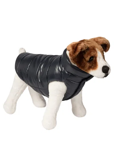 Moncler Poldo Dog Vest Pets Accessories Blue