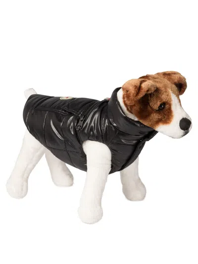Moncler Poldo Dog Vest Pets Accessories Black