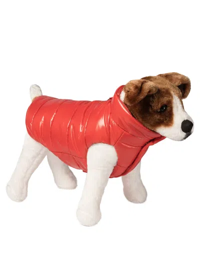 Moncler Poldo Dog Vest Pets Accessories Red