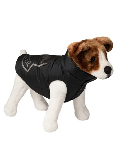 Moncler Poldo Dog Vest Pets Accessories Blue
