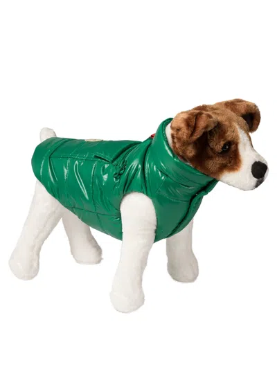 Moncler Poldo Dog Vest Pets Accessories Green