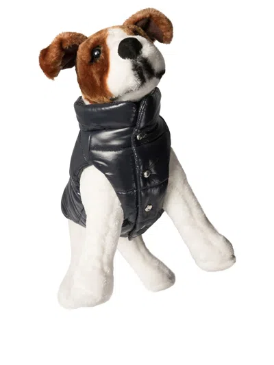 Moncler Poldo Dog Vest Pets Accessories Blue