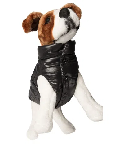 Moncler Poldo Dog Vest Pets Accessories Black