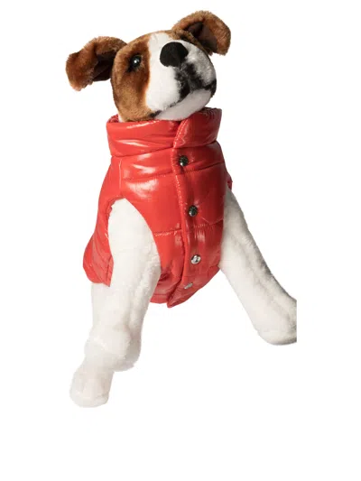 Moncler Poldo Dog Vest Pets Accessories Red