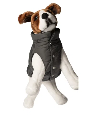 Moncler Poldo Dog Vest Pets Accessories Blue