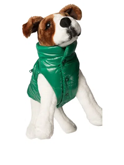 Moncler Poldo Dog Vest Pets Accessories Green