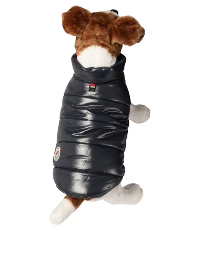 Moncler Poldo Dog Vest Pets Accessories Blue