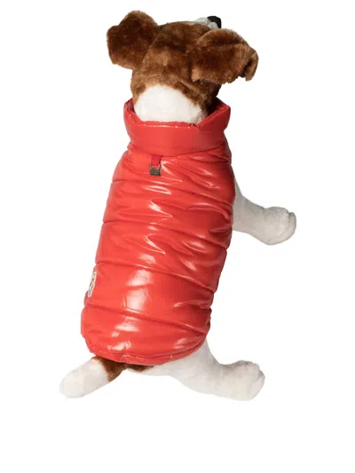 Moncler Poldo Dog Vest Pets Accessories Red