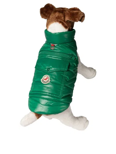 Moncler Poldo Dog Vest Pets Accessories Green
