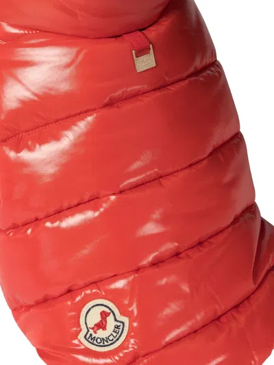 Moncler Poldo Dog Vest Pets Accessories Red