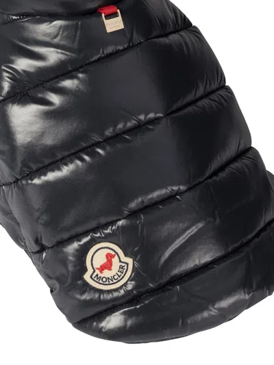 Moncler Poldo Dog Vest Pets Accessories Blue