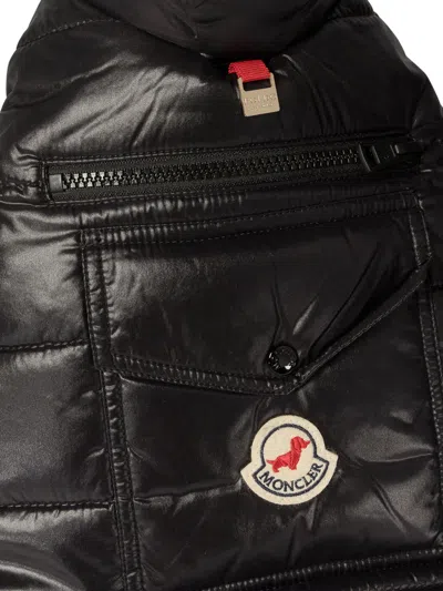 Moncler Poldo Dog Vest Pets Accessories Black