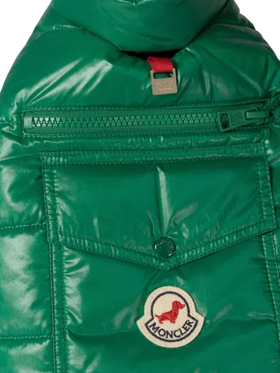 Moncler Poldo Dog Vest Pets Accessories Green