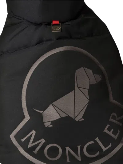 Moncler Poldo Dog Vest Pets Accessories Blue