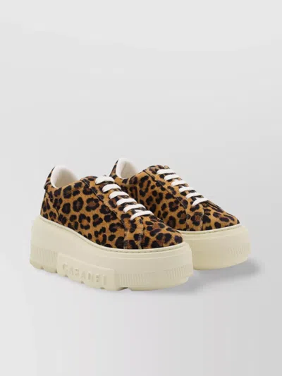Casadei Sneaker Malesia In Brown