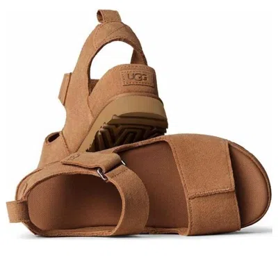 Ugg Goldenstar Hi Suede Sandals Chestnut