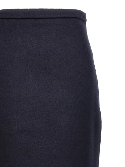 Max Mara Palo Skirts Blue In Blue