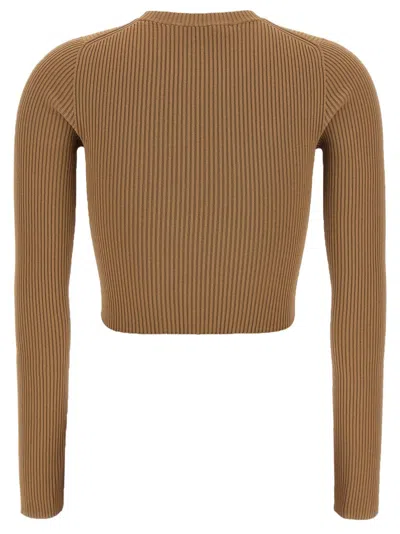 Max Mara 'arcella1234' Sweater In Brown