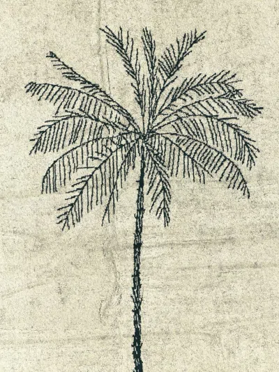 Jacquemus Cruise Towel With Palm Tree Embroidery In Neutral