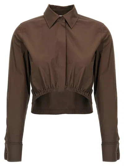 Max Mara Cropped Collared Shirt Elasticated Hem In Brown
