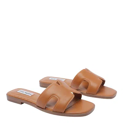 Steve Madden Hadyn Double-strap Flat Sandals In Brown