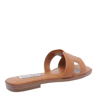 Steve Madden Hadyn Double-strap Flat Sandals In Brown
