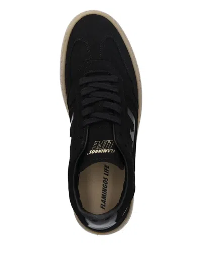 Flamingos Suede Leather Sneakers