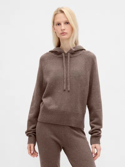 Gap Cashsoft Sweater Hoodie