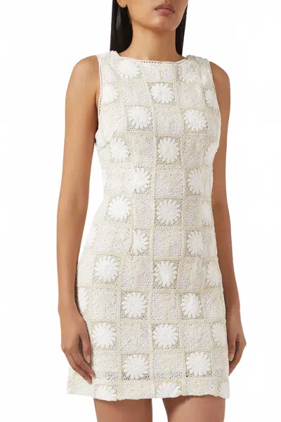 Minkpink Lyria Palm Lace Mini Dress In Cream In White