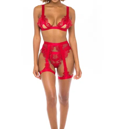 Oh La La Cheri Janet Eyelash Lace 3 Piece Bra Set In Red In Red