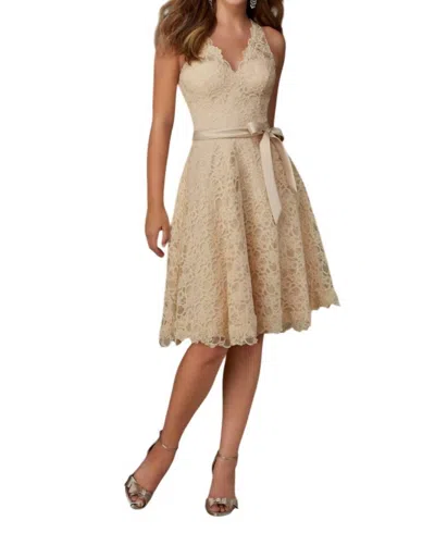 Morilee Vneck Lace Bridesmaid Cocktail Dress With Satin Sash In Champagne In White
