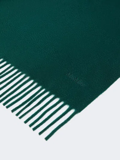 Max Mara Cashmere Stole With Embroidery And Fringing