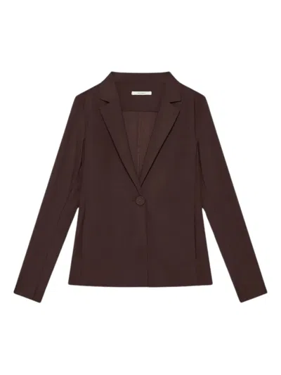 Maliparmi Single-button Notched-lapels Jacket In Brown