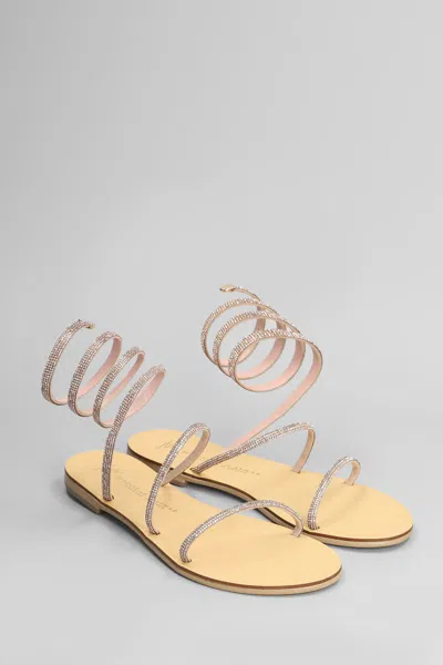 Nicolas Lainas Flats