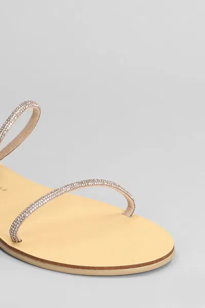 Nicolas Lainas Flats