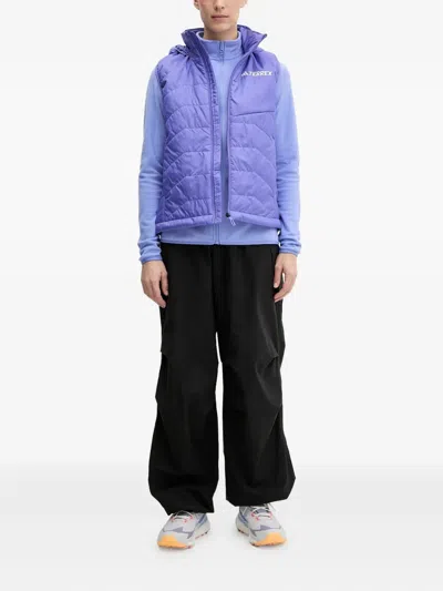 Adidas Originals Terrex Quilted Hooded Vest In Blue