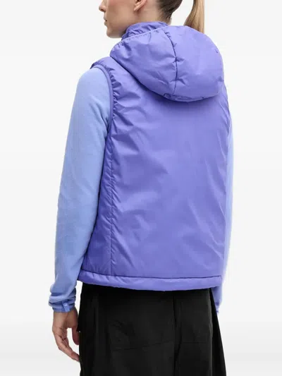 Adidas Originals Terrex Quilted Hooded Vest In Blue