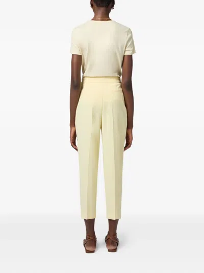 Elisabetta Franchi Pleat-detailed Trousers In Neutral